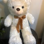 Teddy Bear for Lovers