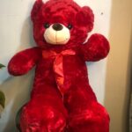 Valentine Teddy Bear