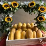 Mango Fruit Basket Delivery