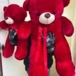 Valentines Day Teddy Bear