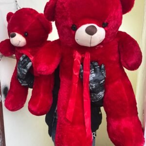 Valentines Day Teddy Bear